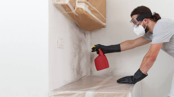 Professional Mold Removal technician working in Peapack, NJ