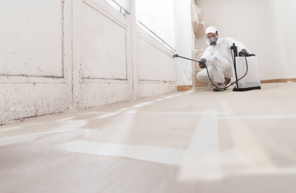 24/7 Emergency Mold Removal experts in Peapack, NJ